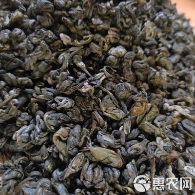 茶農(nóng)直銷 云南西雙版納碧螺春圈綠茶生態(tài)茶