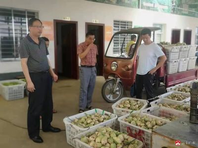 市農業農村局:強化農產品質量安全監測監管 保障群眾“舌尖上的安全”